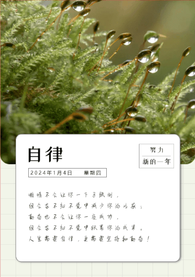 模板计划2023-每日打卡-1图