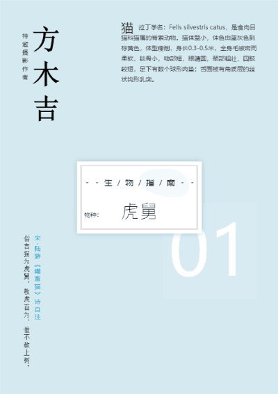 模板计划2023-虎舅-0图